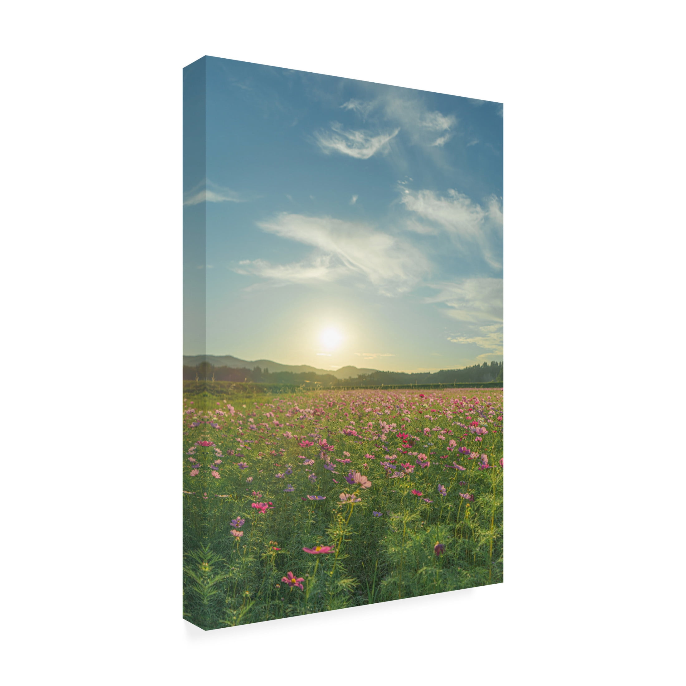Trademark Fine Art Masahiro Yano Its Like A Dream Canvas Wall Art