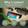 thumbnail image 3 of Quantum Lipclear Lysine and Cold Sore Treatment All Natural Ointment - 0.25 oz, 3 of 5