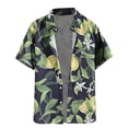 thumbnail image 1 of Camisas Para Hombre XXL Camisa abotonada de tejido elástico de manga corta ajustada para hombre (Green, XXL), 1 of 3