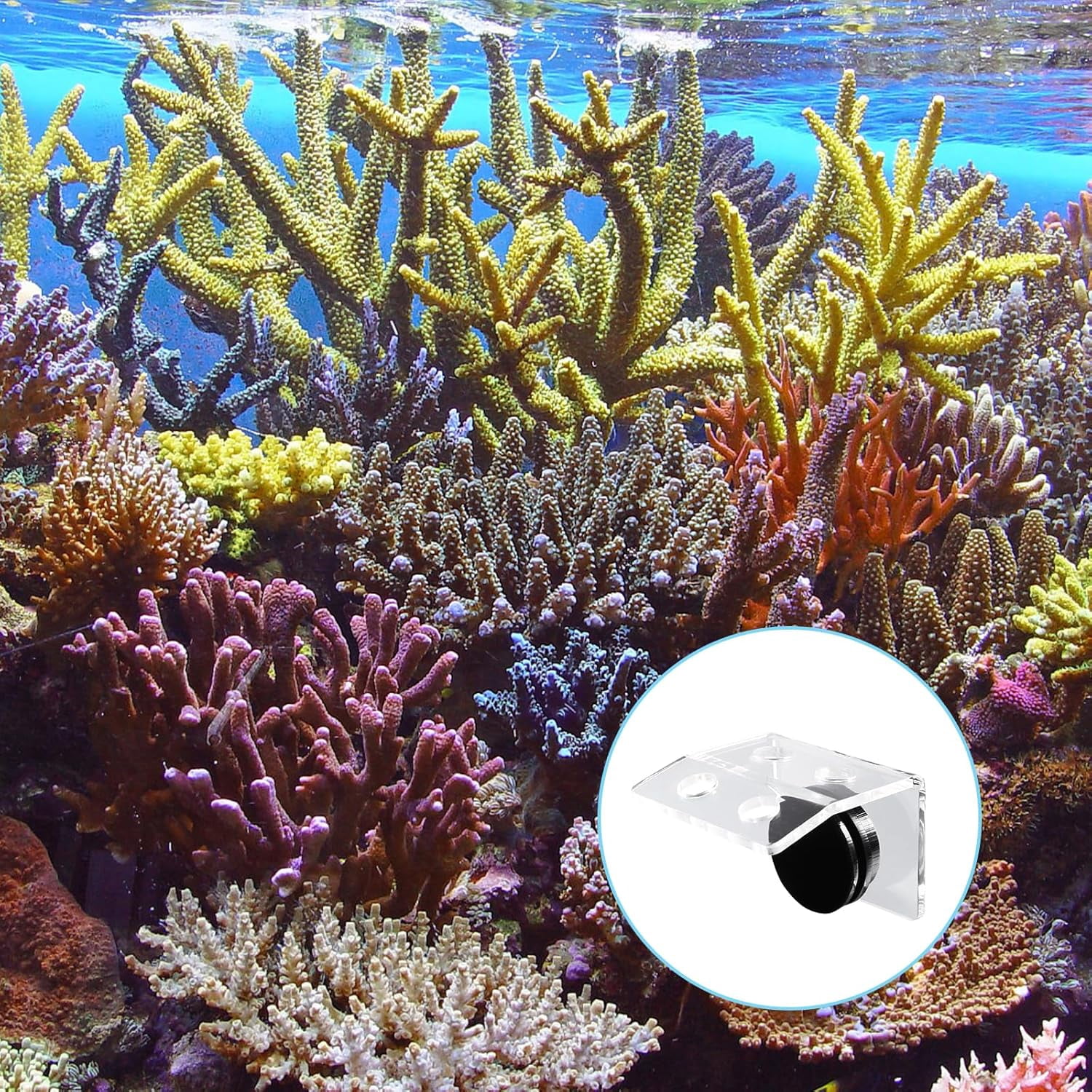 ABCISI Magnetic Coral Rack, Aquarium Plant Magnet Holder, 4 Holes Acrylic Coral Frag Clip, Fish Tank Coral Bracket with Suction Cup for Aquarium Fish Tank Coral Plant Hold Tools