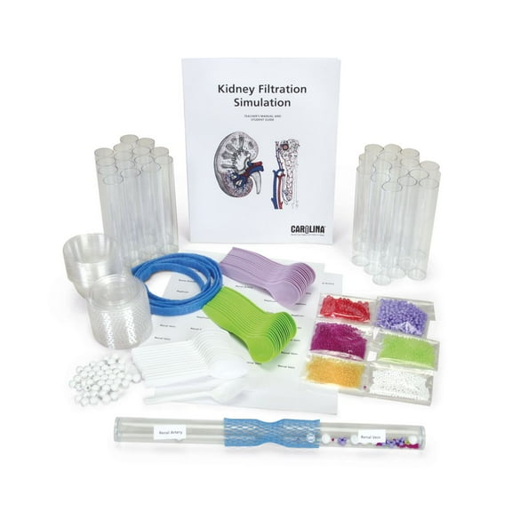 Kidney Filtration Simulation Kit, Materials For 30 Students