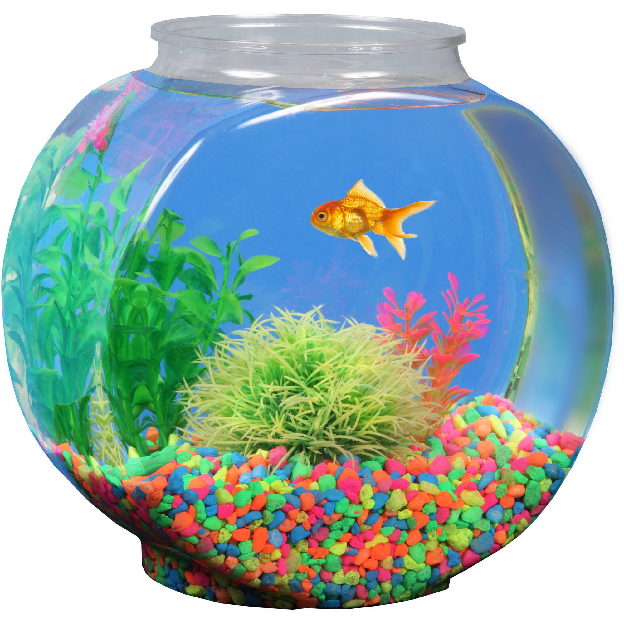 1-Gallon Fish Bowl, Impact-Resistant Plastic