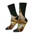 thumbnail image 1 of Balery Squirrels Eating Peanuts On The Tree Calcetas Largas con Estampado para Hombre y Mujer – Suaves y Transpirables, Talla Única (US 5-11), 1 of 6