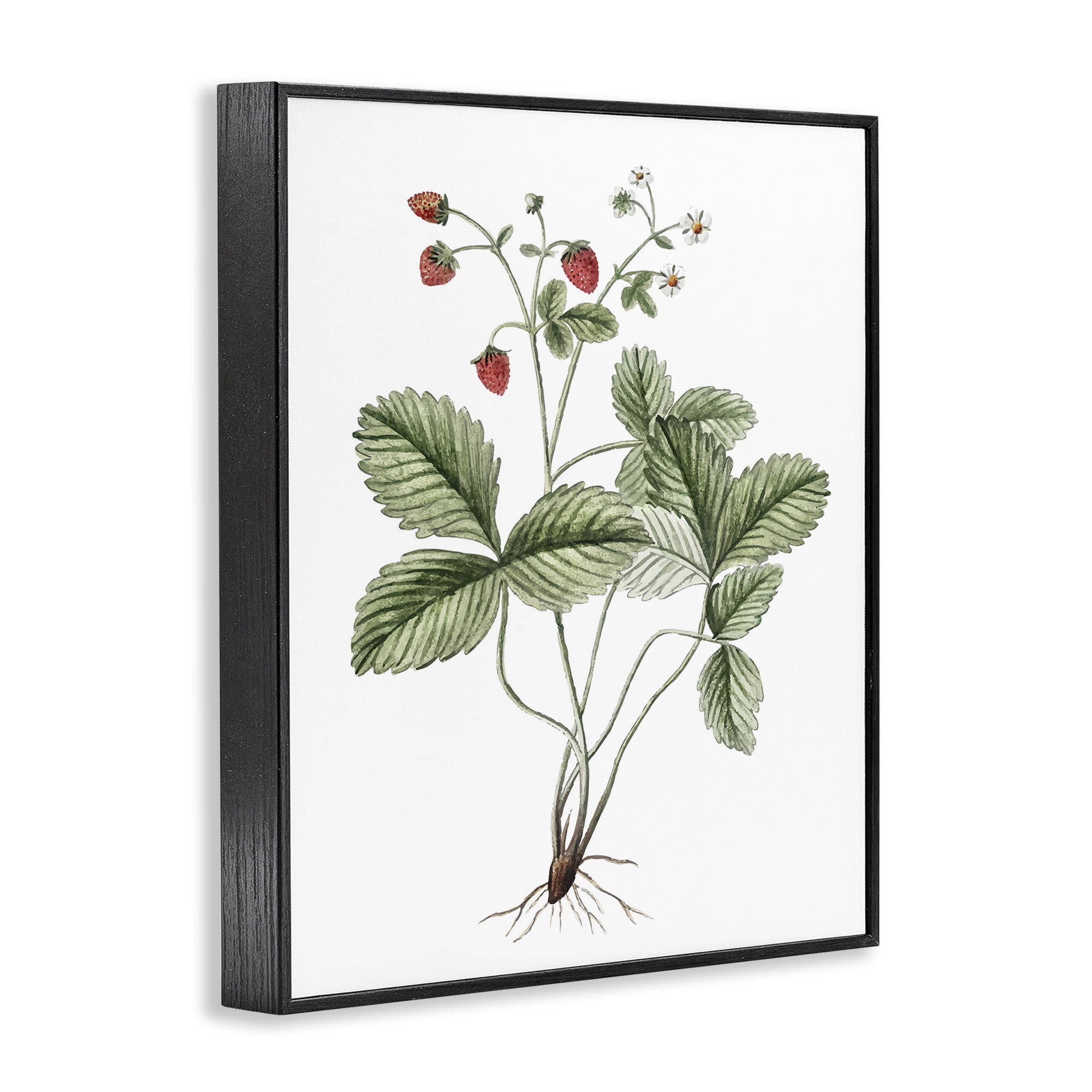 Stupell Industries Budding Strawberries Study Food & Beverage Painting Black Framed Art Print Wall Art, 24 x 30