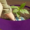 thumbnail image 5 of Plant Grow Bags, Round Raised Garden Planting Beds Pots,Durable Breathe Cloth Planting Container For Potatoes Vegetables And Fruits, Gardening & Outdoor-Purple&15 Gallon, 5 of 5