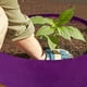 thumbnail image 5 of Bolsas de cultivo de plantas, macetas redondas para camas de jardín elevadas, contenedor de plantación de tela transpirable duradera para patatas, verduras y frutas, jardinería y exteriores Vhermosa CPB-US-DYP01-11, 5 of 5