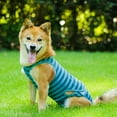 thumbnail image 4 of MesaSe Recovery Suit for Dogs - Protects Wounds  Sutures  Skin Conditions  Light Incontinence  When in Heat  after Surgery Spay/Neuter, 4 of 6