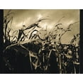 thumbnail image 3 of Scarecrow (CD) by Garth Brooks, 3 of 4