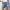 Light Blue3, variant on CaiJunJia Bermuda Jean Shorts for Women High Waisted Trendy Stretchy Denim Shorts Knee Length Cutoff Loose Fit Long Shorts