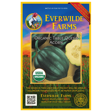 Everwilde Farms - 20 Organic Table Queen Acorn Winter Squash Seeds - Gold Vault Jumbo Bulk Seed (Best Way To Store Acorn Squash)