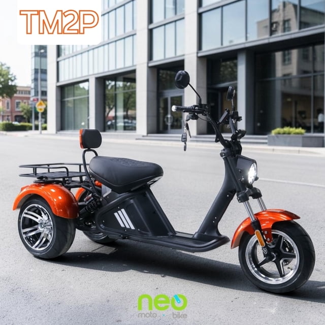 Trimoto Eléctrica TM2P - 2000W - 55km/h - Autonomía 70-90km