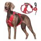 thumbnail image 1 of Pechera Arnés De Seguridad Para Perro Chico Mediano Y, 1 of 1