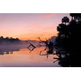thumbnail image 2 of Jones, Adam 14x11 Black Ornate Wood Framed with Double Matting Museum Art Print Titled - Predawn view of mist and fallen trees reflecting on blackwater area of St Johns River, 2 of 4