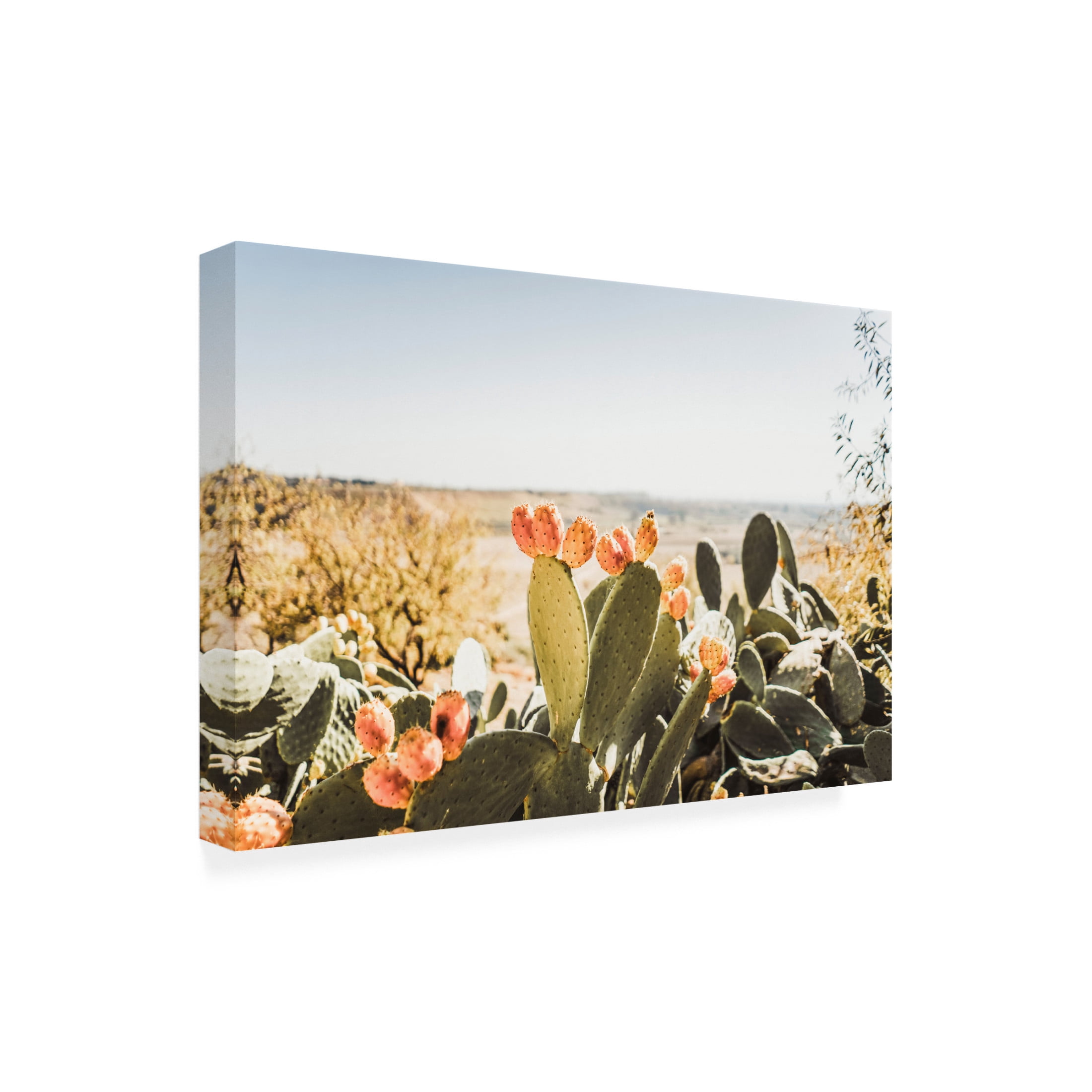 Canvas Wall Art - Krista Broadway 'Estero' Wall Art for Living Room, Bedroom, or Office Décor by Trademark Fine Art - 19 x 12 Inches