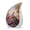 Peacock-1, variant on VALERASH Peacock Teardrop Urn for Ashes Adult Male & Female Set of 1 Large & 4 Keepsake Drop Urn for Ashes for Women & Man - Flower Urns for Mom & Dad - 10 & 3 Inch
