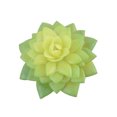 thumbnail image 2 of 10x Fake Succulents Small Vivid Useful Simulated Plants Multi-functional Lifelike Photo Props for Household Yards Lawn Flowerpot Type 25, 2 of 9