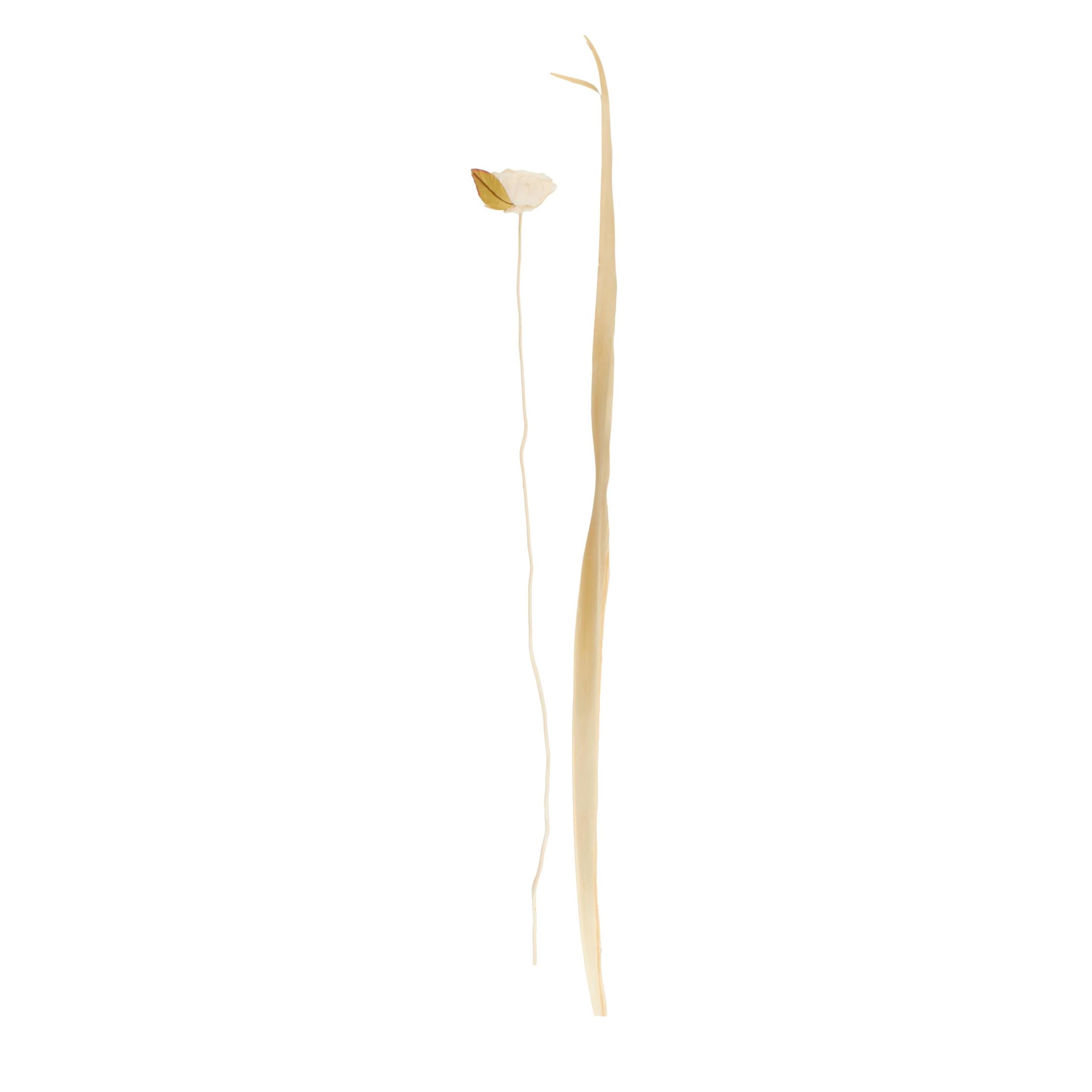 49" Tall Dried Plant Natural Foliage Bouquet with Flower Petals and Leaves, by DecMode