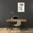 thumbnail image 3 of Vision Studio 17x24 White Modern Wood Framed Museum Art Print Titled - Antique Floral Plate II, 3 of 4