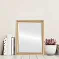 thumbnail image 3 of Pasadena Framed Mirror - Gold Spray, 3 of 6