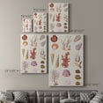 thumbnail image 4 of Coral & Shell Collage II Premium Gallery Wrapped Canvas - Ready to Hang, 4 of 9