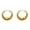 Gold, variant on Hoop Earrings for Women,925 Sterling Silver Post,Hypoallergenic Small Earrings