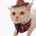 thumbnail image 4 of FONDOTIN 2Pcs Coffee Cat Hat Breathable Adjustable Lightweight Stylish Pet Dressing Accessory, 4 of 5