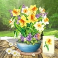 thumbnail image 3 of Pop Up Cards, 12‘’ English Daffodils, Paper Flowers Bouquet 3D Popup Greeting Ca, 3 of 5