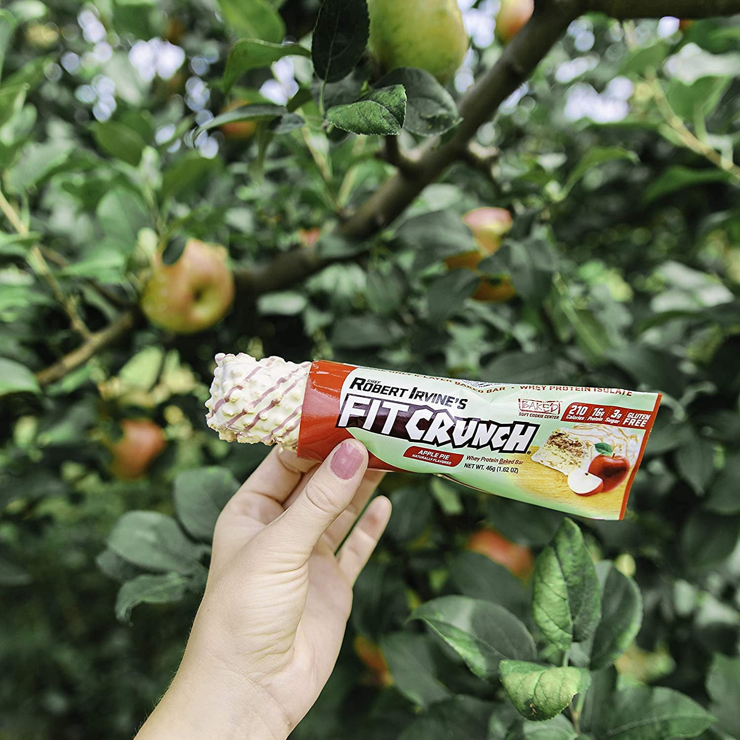 Fit Crunch Snack Size Protein Bar, Apple Pie, 16g Protein, 18 ct.
