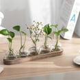 thumbnail image 2 of Propagation Station Glass Vases Decoration: 5 Plants Terrarium with White Washed Wooden Tray for Living Room Office, 2 of 5