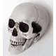 thumbnail image 2 of Decoración Realista De Halloween Para Bares Y Fiestas Ideal Para, 2 of 6
