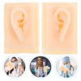 thumbnail image 2 of EeaseCA 1 Paire de Modèles d'Oreilles Simulation Accessoires d'Affichage Auditif, 2 of 8