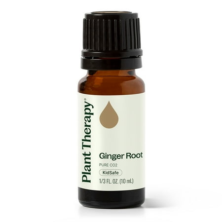 Plant Therapy Ginger Root CO2 Essential Oil 100% Pure, Undiluted, Natural Aromather 10 mL (1/3 oz)