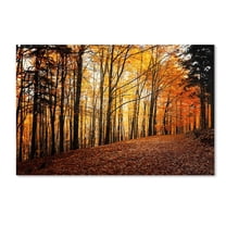 Trademark Fine Art "Autumn Leaves Pathway" Canvas Art by Philippe Sainte-Laudy