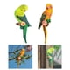thumbnail image 1 of Estatuas Colgantes de Decoración de árbol de Pájaros en Miniatura para árbol de Estante de Césped DYNWAVEMX estatua de pájaro, 1 of 8