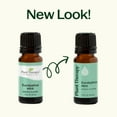 thumbnail image 6 of Plant Therapy Eucalyptus Mint Essential Oil Blend 10 mL (1/3 oz) 100% Pure, Undiluted, Natural Aromatherapy, 6 of 10