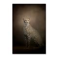 thumbnail image 2 of Trademark Fine Art Jai Johnson The Elegant Cheetah Canvas Wall Art - 16x24, 2 of 4