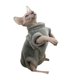 thumbnail image 1 of Methold Ropa para gatos sin pelo, respetuosa con la piel, hecha con franela transpirable, ropa cálida de invierno para gatos sin pelo Ropa para mascotas gris l, 1 of 6