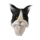 thumbnail image 3 of Máscara de cabeza de gato, accesorios de disfraz, cubierta de cabeza completa, disfraz para adultos, cubierta facial, 3 of 8