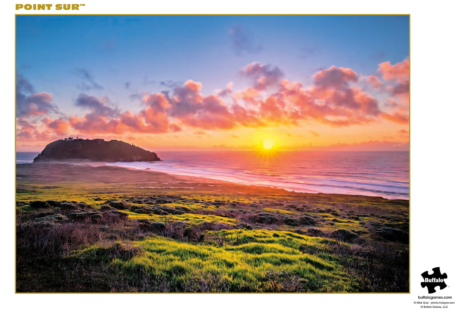 Buffalo Games 300-Piece Gold Collection Point Sur Jigsaw Puzzle