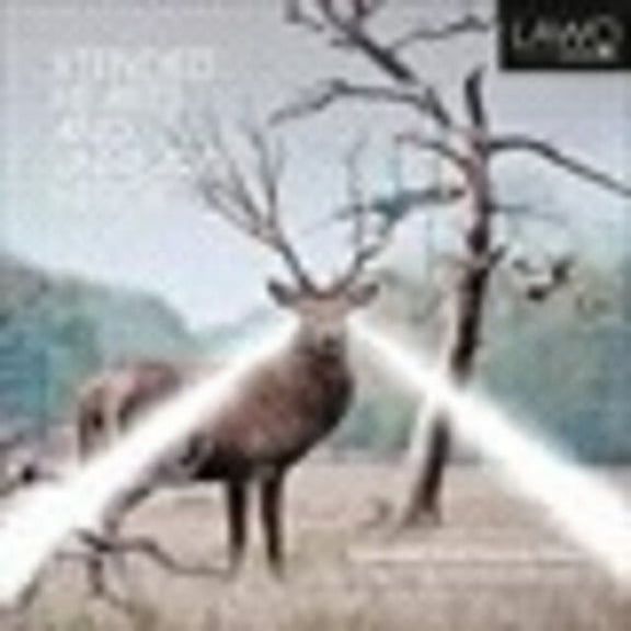 Various Artists - Xtended Hearts & Unheard Herds - Music & Performance - CD