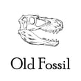 thumbnail image 3 of CafePress - Old Fossil Tote Bag - Unisex Canvas Tote Bag, Beige, 1-Piece, 3 of 9