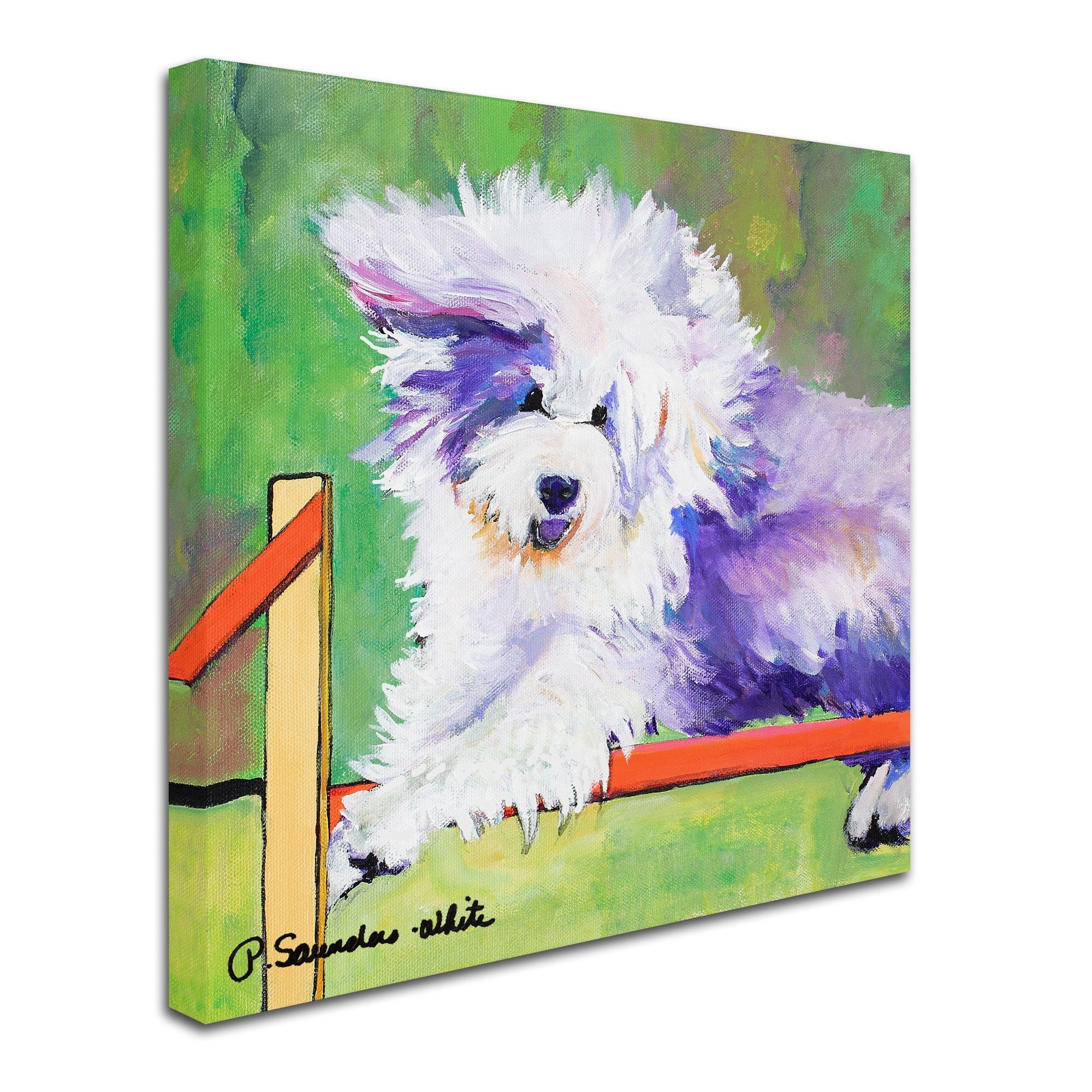 Trademark Fine Art "Tibetan Trials" Canvas Art by Pat Saunders-White