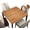 Wooden Texture Style 01, variant on Stretchable Square Tablecloth with Elastic Hem, Old Floor Plank Rural Wood Texture House, for Kitchen/Office/Card Table Decor, Suit for 36"x36" Square Table