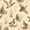 Color 1, variant on Peel and Stick Wallpaper Vintage Duck Collection Featuring Different Species Wall Mural 17.7in x 9.8ft Self Adhesive Removable Wall Paper Renter Friendly Wallpaper for Nursery Bedroom Cabinets