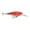 Demon, variant on Rapala Shad Rap Crankbait 05 Demon