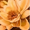 thumbnail image 2 of Arenas, Nelly 12x12 Gold Ornate Wood Framed with Double Matting Museum Art Print Titled - Flor de Loto I, 2 of 4