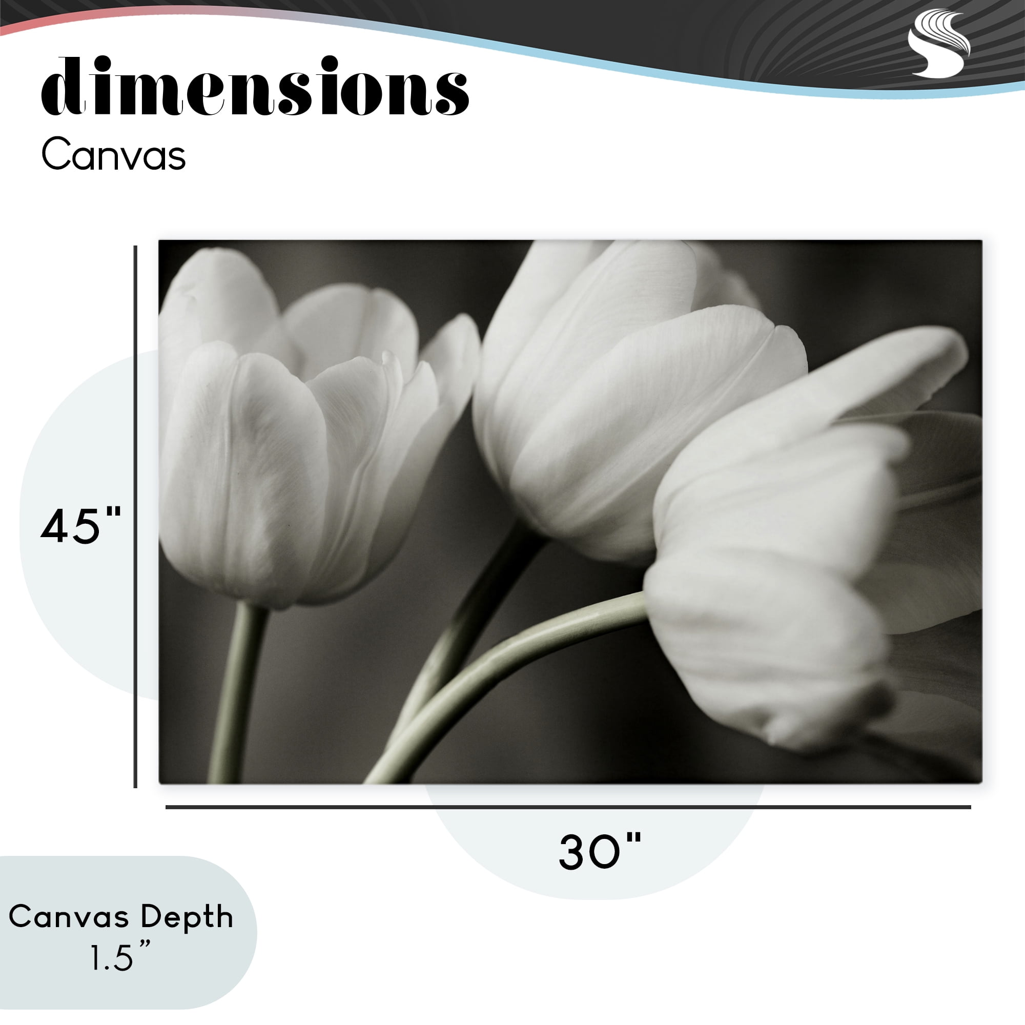 Stupell Industries Row Of Monochrome Tulips Canvas Wall Art, design by Tom Quartermaine