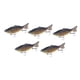 thumbnail image 3 of 5 señuelos de pesca Swimbaits realistas de superficie, duros y crankbaits para bagres, crappies, salmones, lubinas y luciopercas., 3 of 9