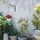 thumbnail image 3 of GOOHOCHY 1 gancho de hierro para cesta de flores de jardín, gancho de pared para colgar macetas., 3 of 7