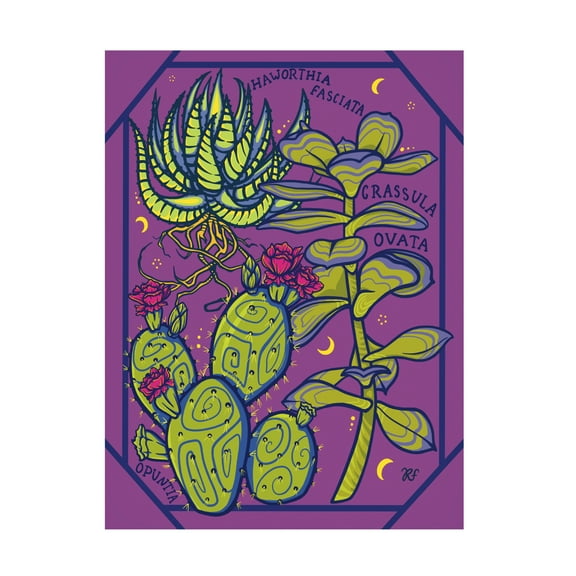 Canvas Wall Art - Rachel Feirman 'Succulent Study' Wall Art for Living Room, Bedroom, or Office Décor by Trademark Fine Art - 14 x 19 Inches